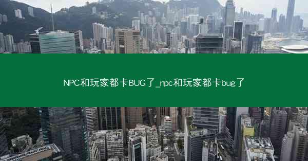 NPC和玩家都卡BUG了_npc和玩家都卡bug了