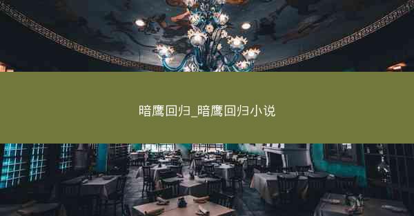 暗鹰回归_暗鹰回归小说