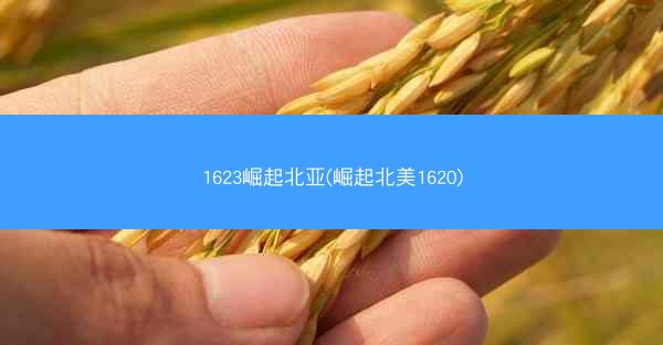 1623崛起北亚(崛起北美1620)