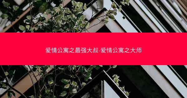 爱情公寓之最强大叔-爱情公寓之大师
