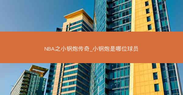 NBA之小钢炮传奇_小钢炮是哪位球员