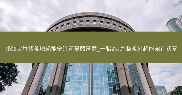 1胎2宝总裁爹地超能宠许初夏顾延爵_一胎2宝总裁爹地超能宠许初夏 1胎2宝总裁爹地超能宠许初夏顾延爵_一胎2宝总裁爹地超能宠许初夏