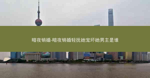 暗夜销婚-暗夜销婚轻抚她宠坏她男主是谁
