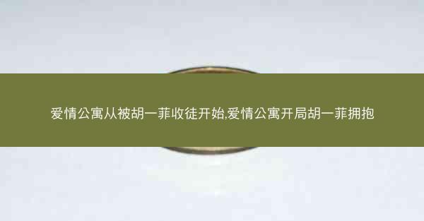 爱情公寓从被胡一菲收徒开始,爱情公寓开局胡一菲拥抱