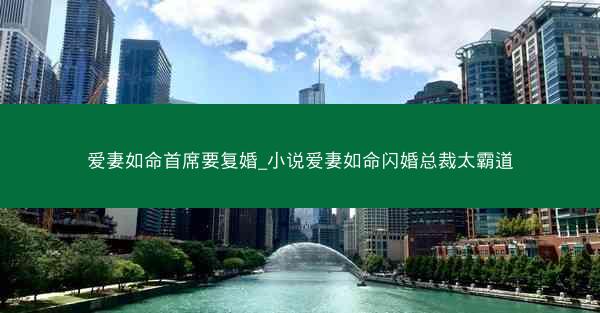 爱妻如命首席要复婚_小说爱妻如命闪婚总裁太霸道