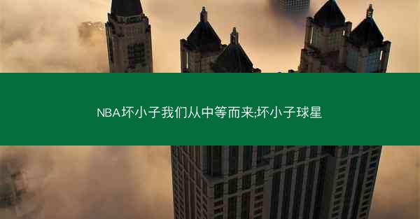 NBA坏小子我们从中等而来;坏小子球星