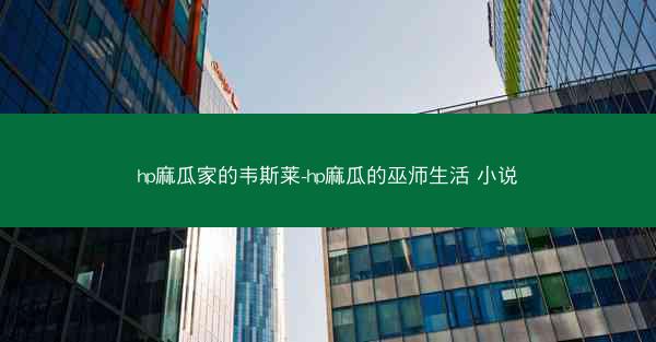 hp麻瓜家的韦斯莱-hp麻瓜的巫师生活 小说
