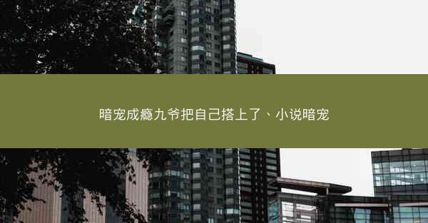 暗宠成瘾九爷把自己搭上了、小说暗宠