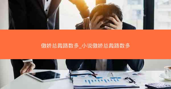傲娇总裁路数多_小说傲娇总裁路数多