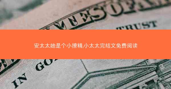安太太她是个小撩精,小太太完结文免费阅读