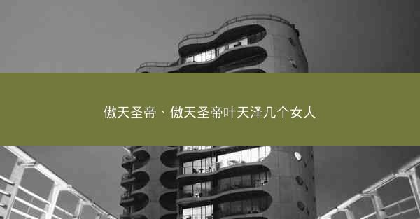 傲天圣帝、傲天圣帝叶天泽几个女人