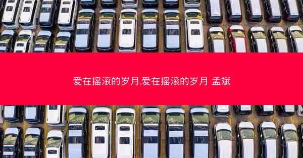 爱在摇滚的岁月,爱在摇滚的岁月 孟斌