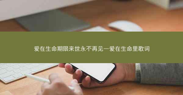 爱在生命期限来世永不再见—爱在生命里歌词