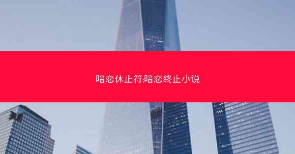 暗恋休止符;暗恋终止小说