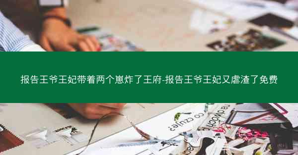 报告王爷王妃带着两个崽炸了王府-报告王爷王妃又虐渣了免费