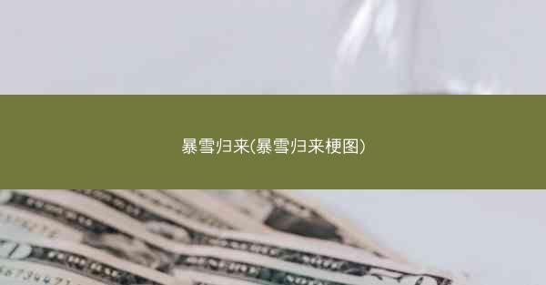 暴雪归来(暴雪归来梗图)