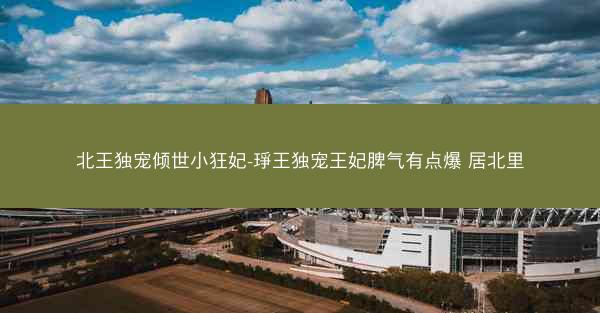 北王独宠倾世小狂妃-琤王独宠王妃脾气有点爆 居北里
