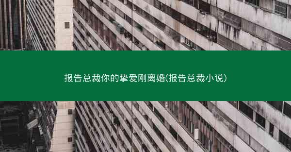 报告总裁你的挚爱刚离婚(报告总裁小说)