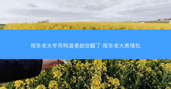 报告老大专用殉道者她觉醒了-报告老大表情包