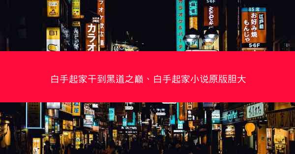 白手起家干到黑道之巅、白手起家小说原版胆大