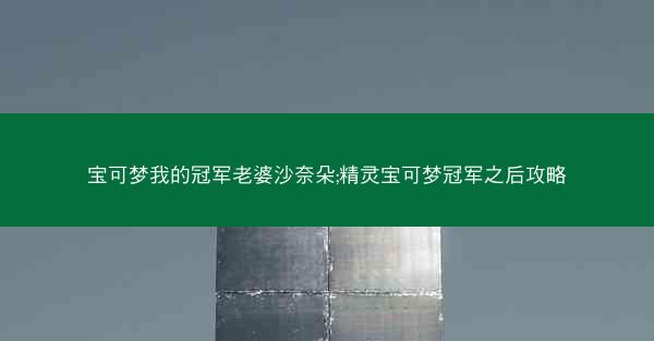 宝可梦我的冠军老婆沙奈朵;精灵宝可梦冠军之后攻略