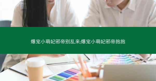 爆宠小萌妃邪帝别乱来;爆宠小萌妃邪帝抱抱