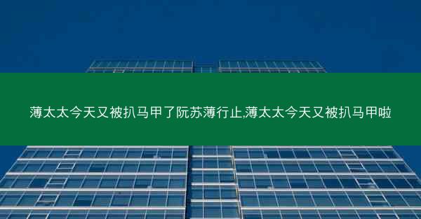 薄太太今天又被扒马甲了阮苏薄行止,薄太太今天又被扒马甲啦