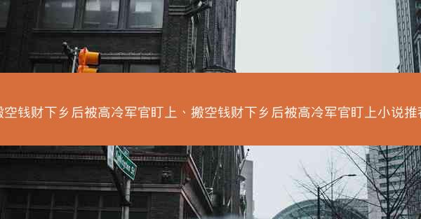 搬空钱财下乡后被高冷军官盯上、搬空钱财下乡后被高冷军官盯上小说推荐