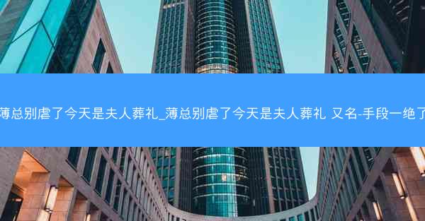 薄总别虐了今天是夫人葬礼_薄总别虐了今天是夫人葬礼 又名-手段一绝了