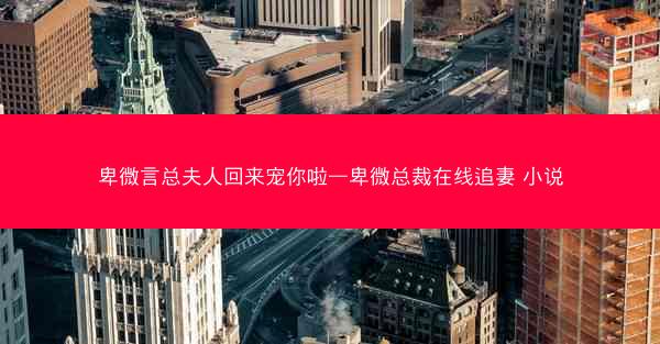 卑微言总夫人回来宠你啦—卑微总裁在线追妻 小说