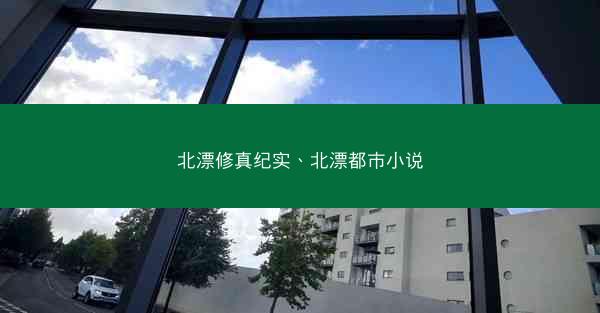 北漂修真纪实、北漂都市小说 北漂修真纪实、北漂都市小说