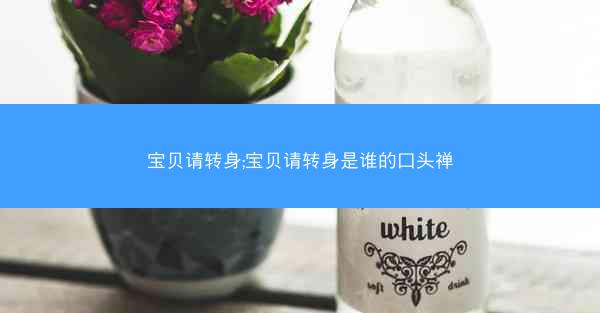 宝贝请转身;宝贝请转身是谁的口头禅