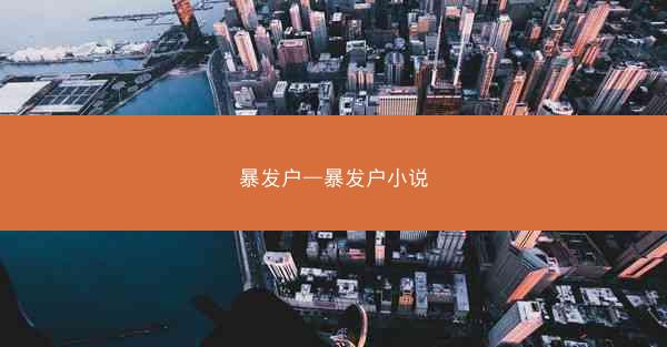 暴发户—暴发户小说