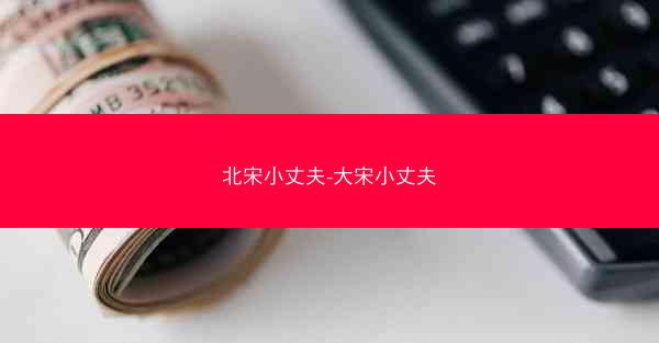 北宋小丈夫-大宋小丈夫