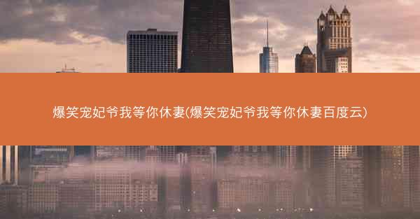 爆笑宠妃爷我等你休妻(爆笑宠妃爷我等你休妻百度云)