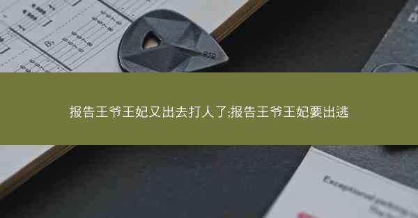 报告王爷王妃又出去打人了;报告王爷王妃要出逃
