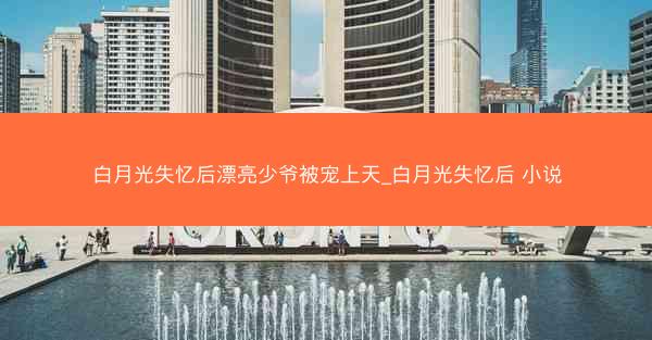 白月光失忆后漂亮少爷被宠上天_白月光失忆后 小说