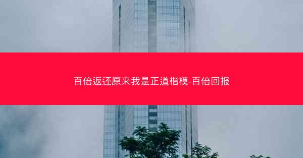 百倍返还原来我是正道楷模-百倍回报