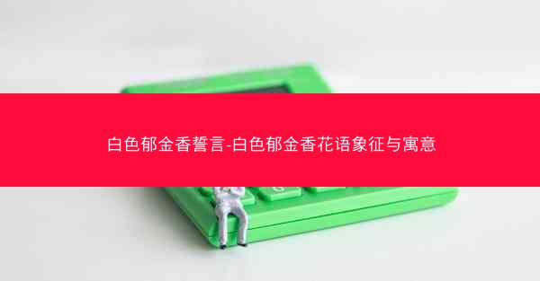白色郁金香誓言-白色郁金香花语象征与寓意