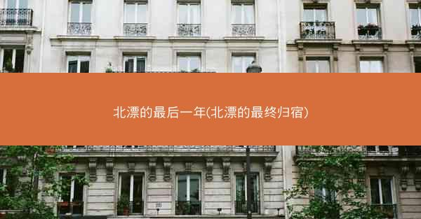 北漂的最后一年(北漂的最终归宿)