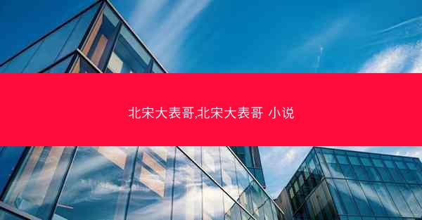 北宋大表哥,北宋大表哥 小说