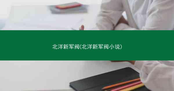 北洋新军阀(北洋新军阀小说)