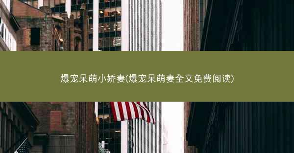 爆宠呆萌小娇妻(爆宠呆萌妻全文免费阅读)