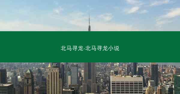 北马寻龙-北马寻龙小说