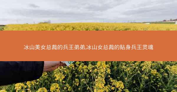 冰山美女总裁的兵王弟弟,冰山女总裁的贴身兵王灵魂