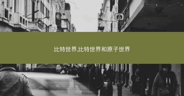 比特世界,比特世界和原子世界
