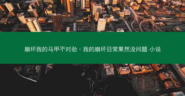 崩坏我的马甲不对劲、我的崩坏日常果然没问题 小说