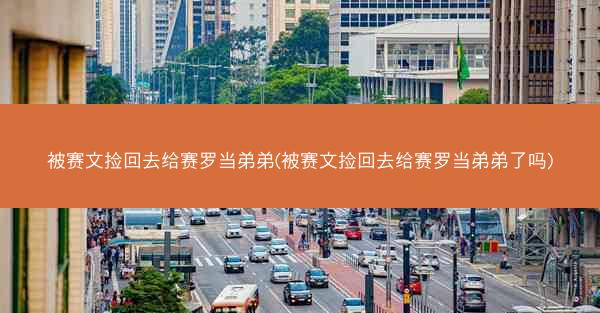 被赛文捡回去给赛罗当弟弟(被赛文捡回去给赛罗当弟弟了吗)