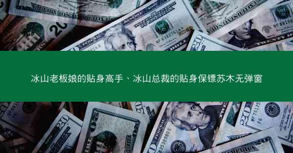 冰山老板娘的贴身高手、冰山总裁的贴身保镖苏木无弹窗