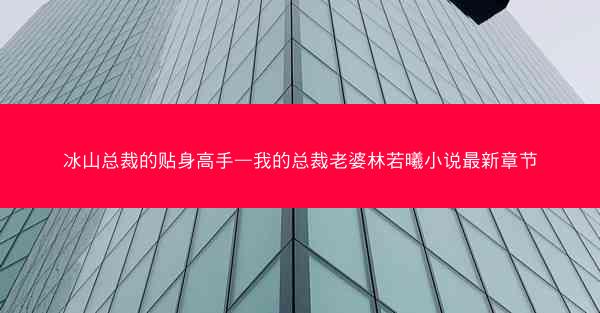 冰山总裁的贴身高手—我的总裁老婆林若曦小说最新章节